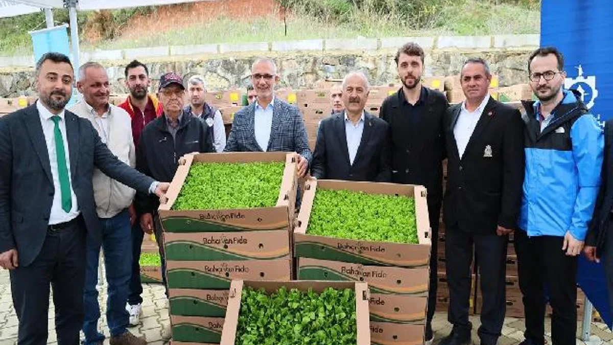 Gebze'de sebze fideler dağıtıldı