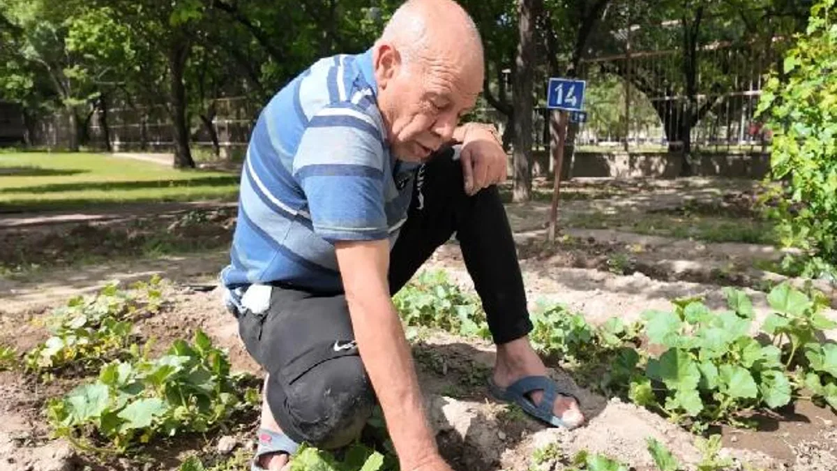 Kayseri'nin Ulu Çınarları'ndan bitki şov