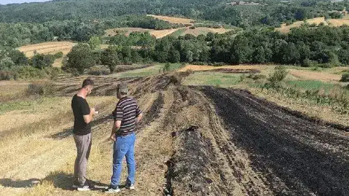 Yangında zarar gören çiftçilere Kocaeli'de tohum desteği