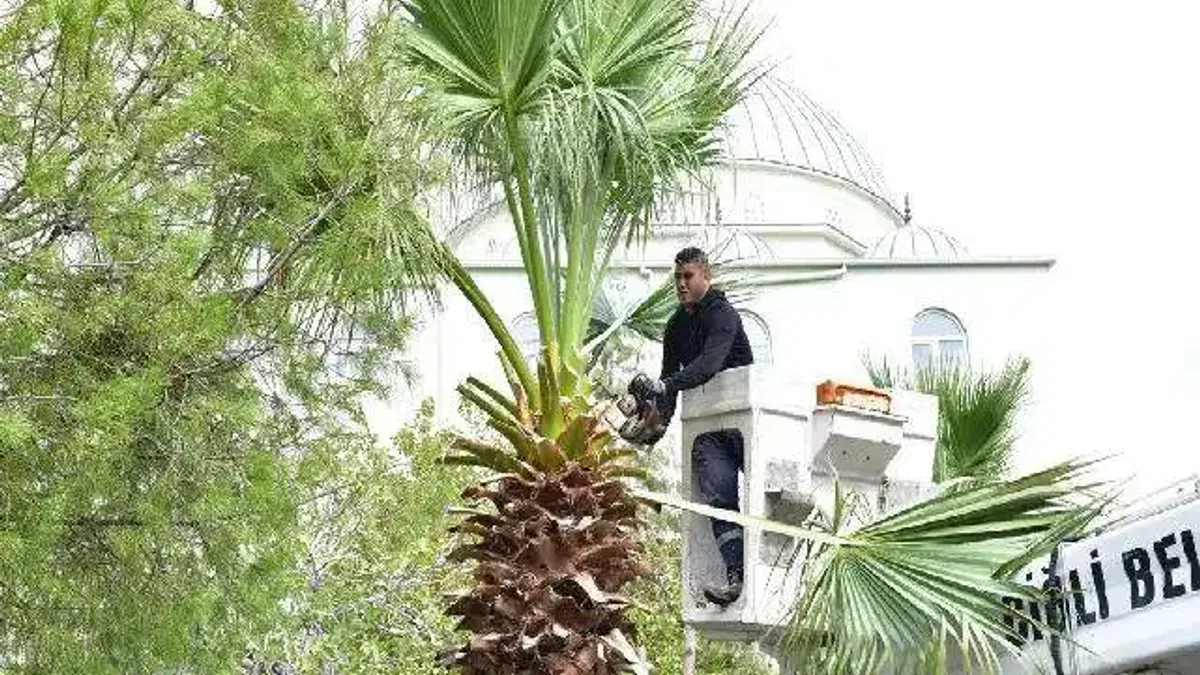 İzmir Çiğli’de sonbahar bakımı