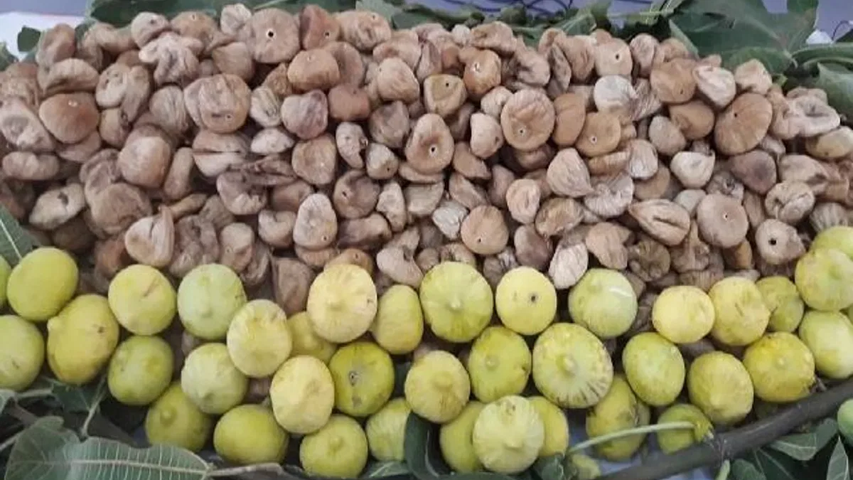 Kuru üzüm ve kuru kayısı da ihracat başarısı