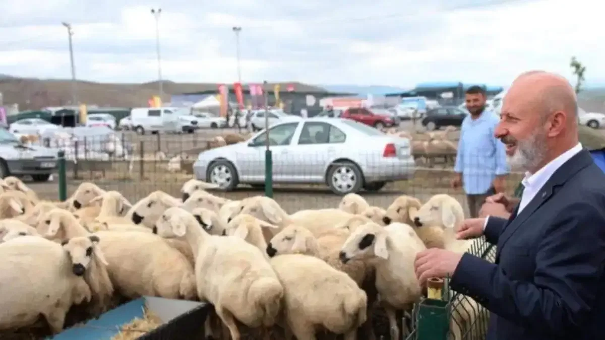 Kayseri Kocasinan'dan profesyonel kurban hazırlığı