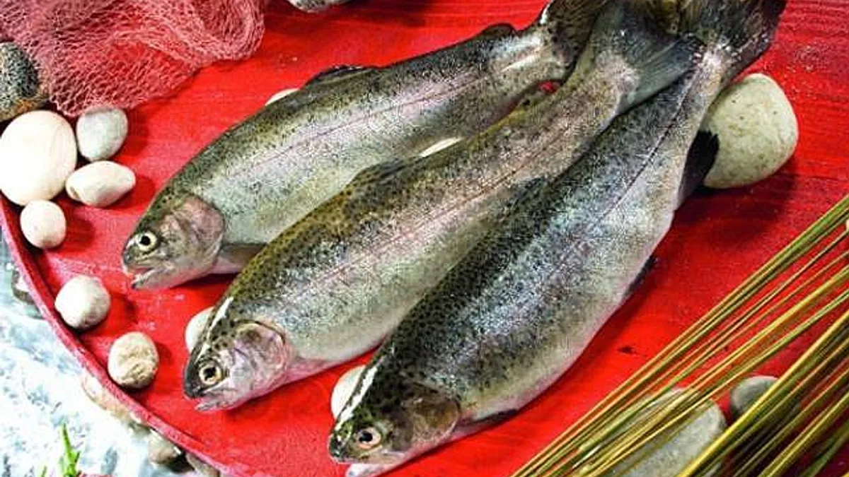 Balık tüketimi kalp sağlığını koruyor