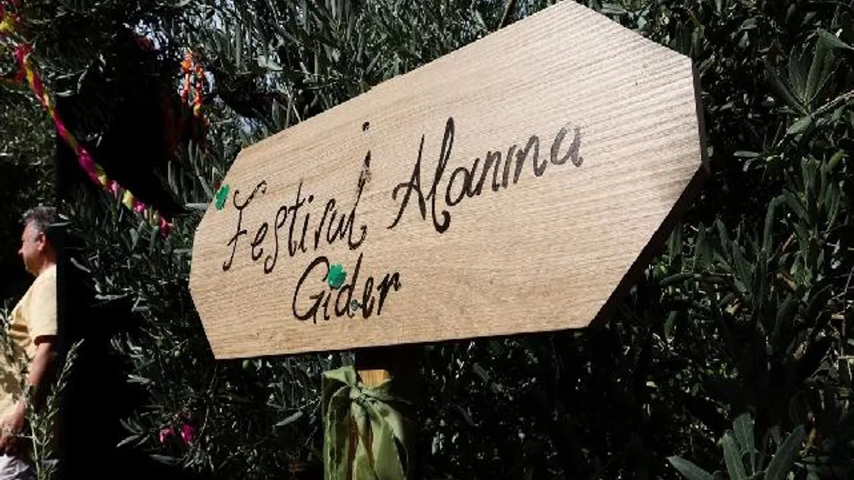 Bursa Gemlik Zeytini'nde uluslararası coşku