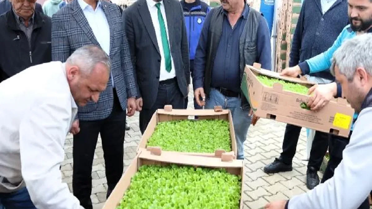 Kocaeli’de Gebzeli çiftçilere 500 bin fide dağıtıldı