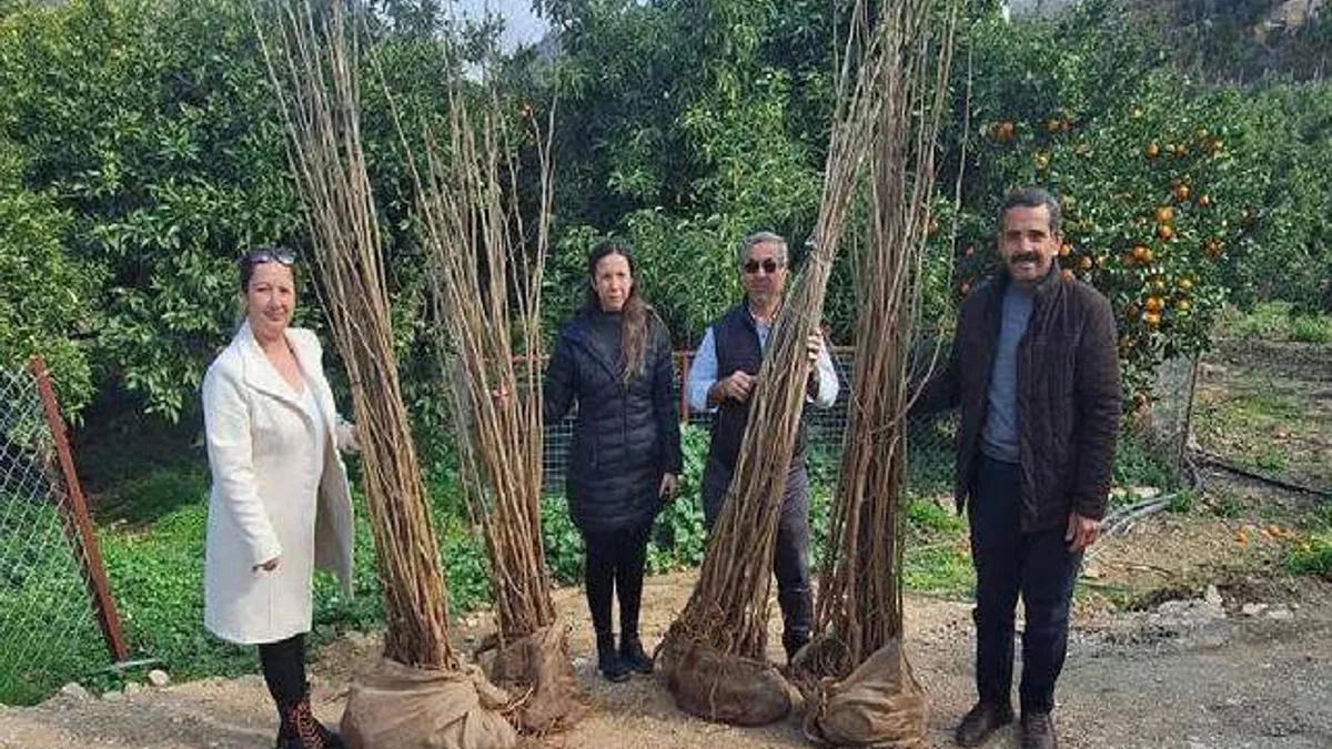 Antalya Büyükşehir’den dut fidanı desteği