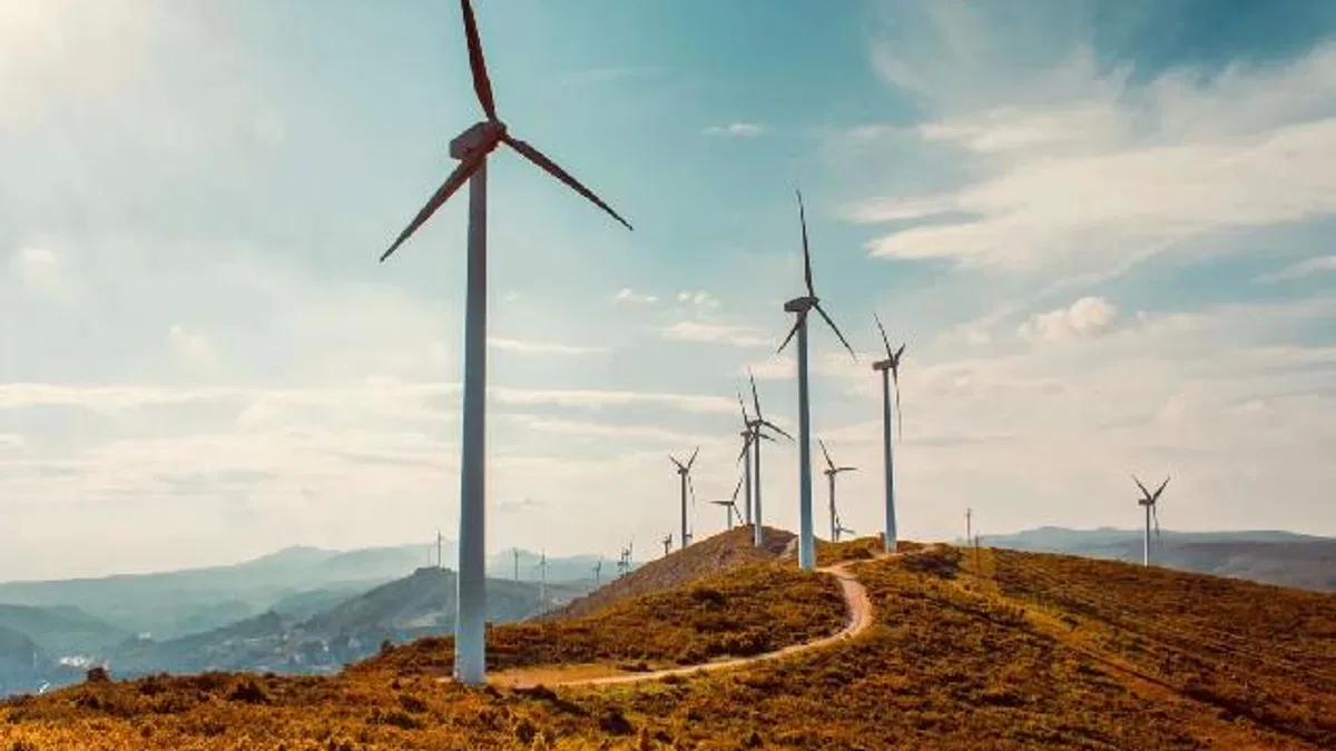 Rüzgar enerjisi başvurularına ayar