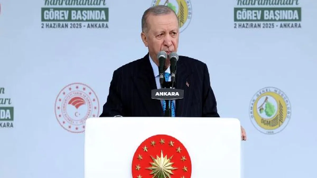 Orman Varlığımız Yüzde 30'a Ulaştı
