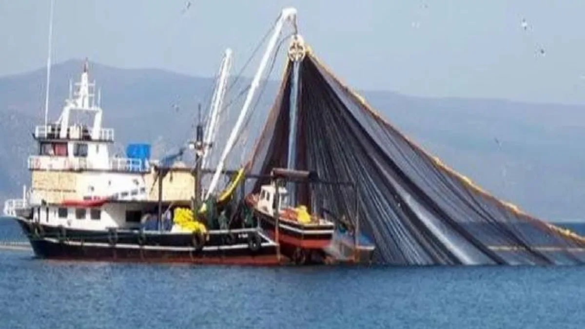 Balıkçılara dev destek!