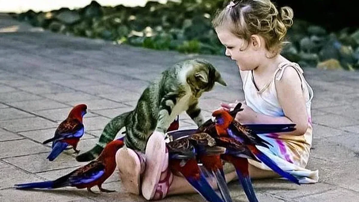 En iyi antidepresan karşılıksız iyilik yapmak!
