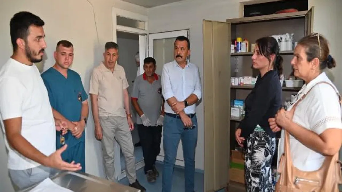 Manisa’da sokak hayvanları için yeni yaşam alanları oluşturuluyor