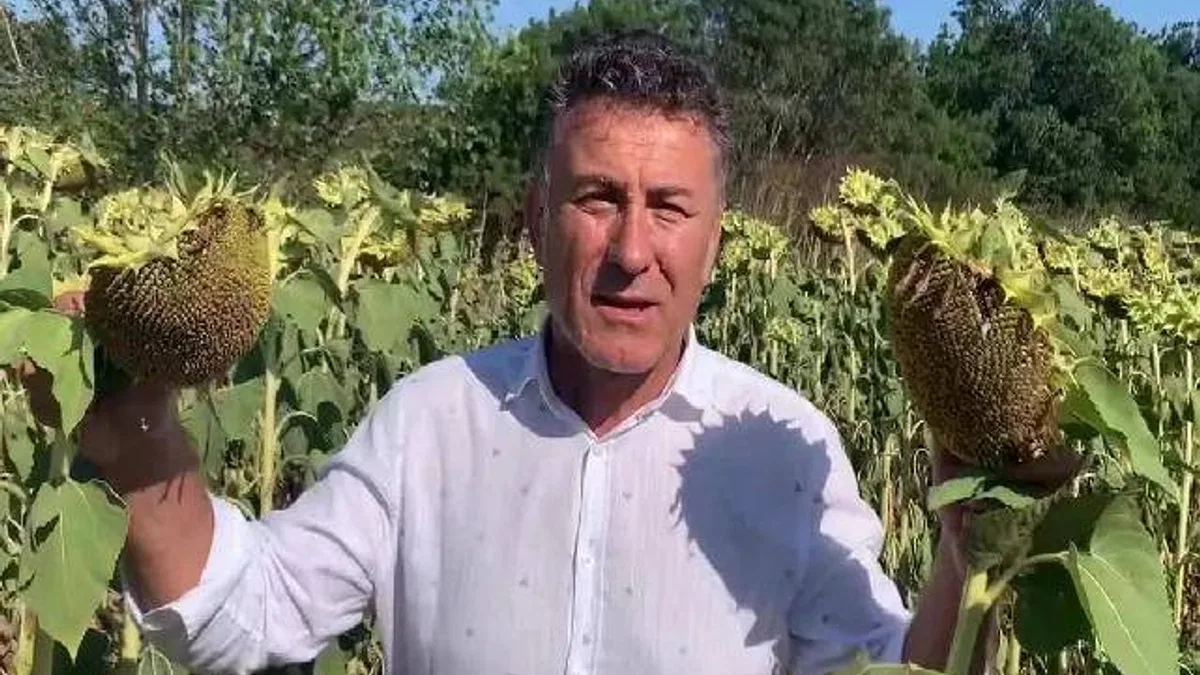 CHP’li Sarıbal’dan ayçiçeği üreticilerine destek çağrısı