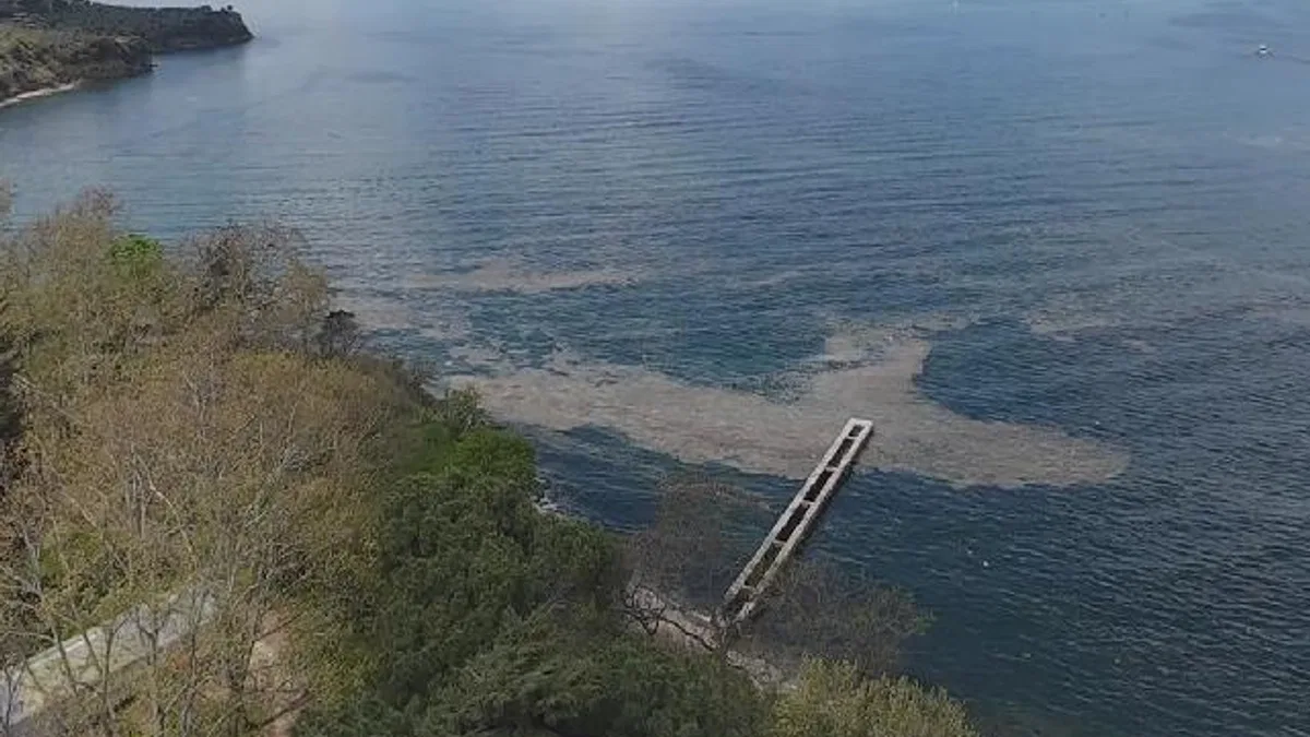 Müsilaj Gemlik Körfezi'nde yeniden görüldü
