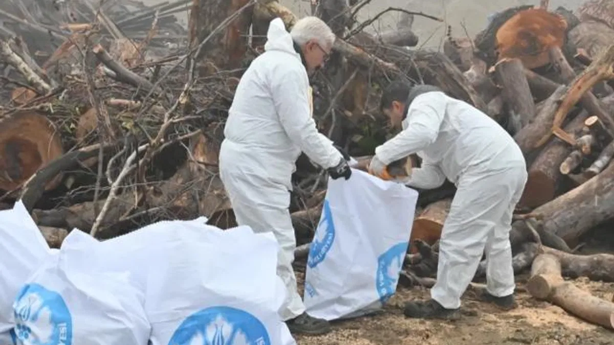 Manisa'da ihtiyaç sahiplerine odun desteği