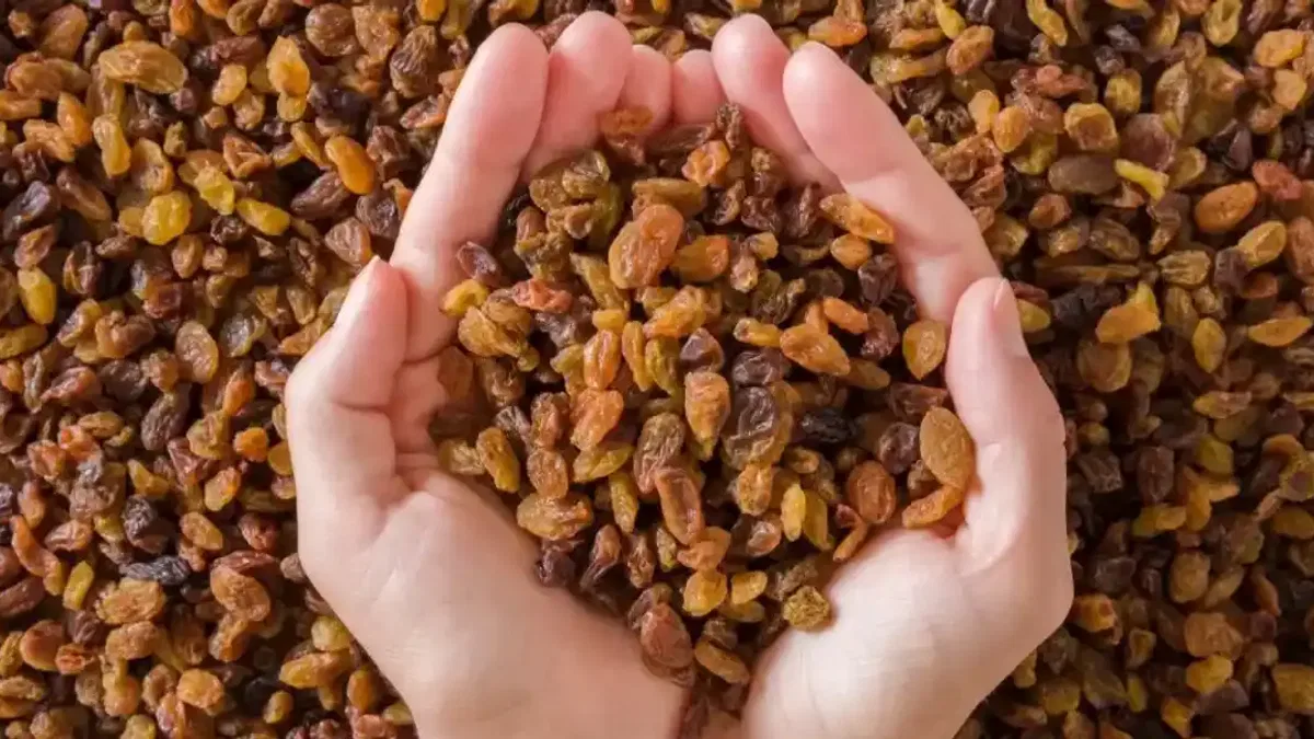 Çekirdeksiz kuru üzüm fiyatları belli oldu... Alımlar 15 Eylül'de başlıyor