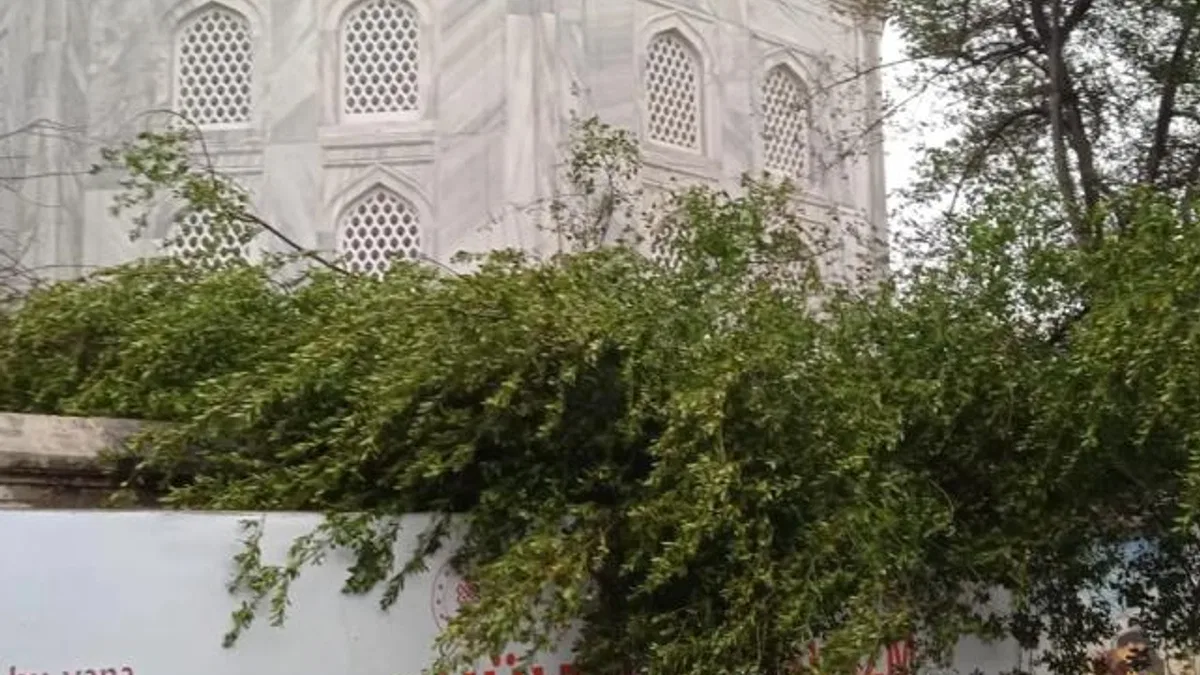 Ayasofya Camii'nde minare alem düştü! Bahçedeki ağaç kontrol altında