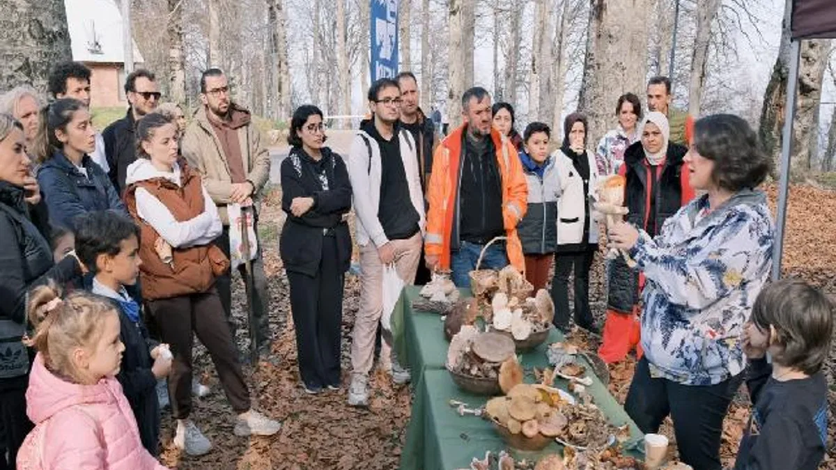 Kocaeli Kuzuyayla’da mantarların gizemli dünyası keşfedildi